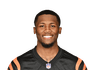 Tee Higgins